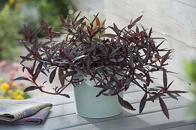 童年回忆回归，《工业大亨4.0》——商业模拟游戏的新时代，将于2024年登陆PC！