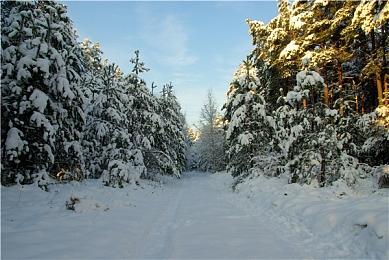 《孤岛惊魂6》支持光追＆超宽屏＆高刷 10月7日发行